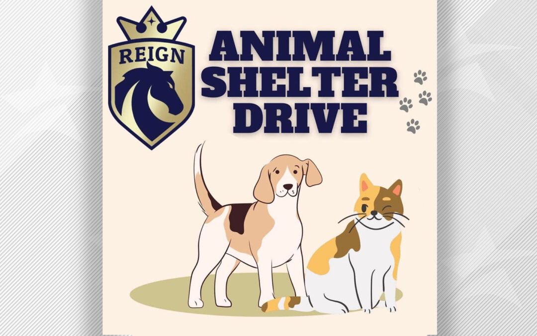 Animal Shelter Drive