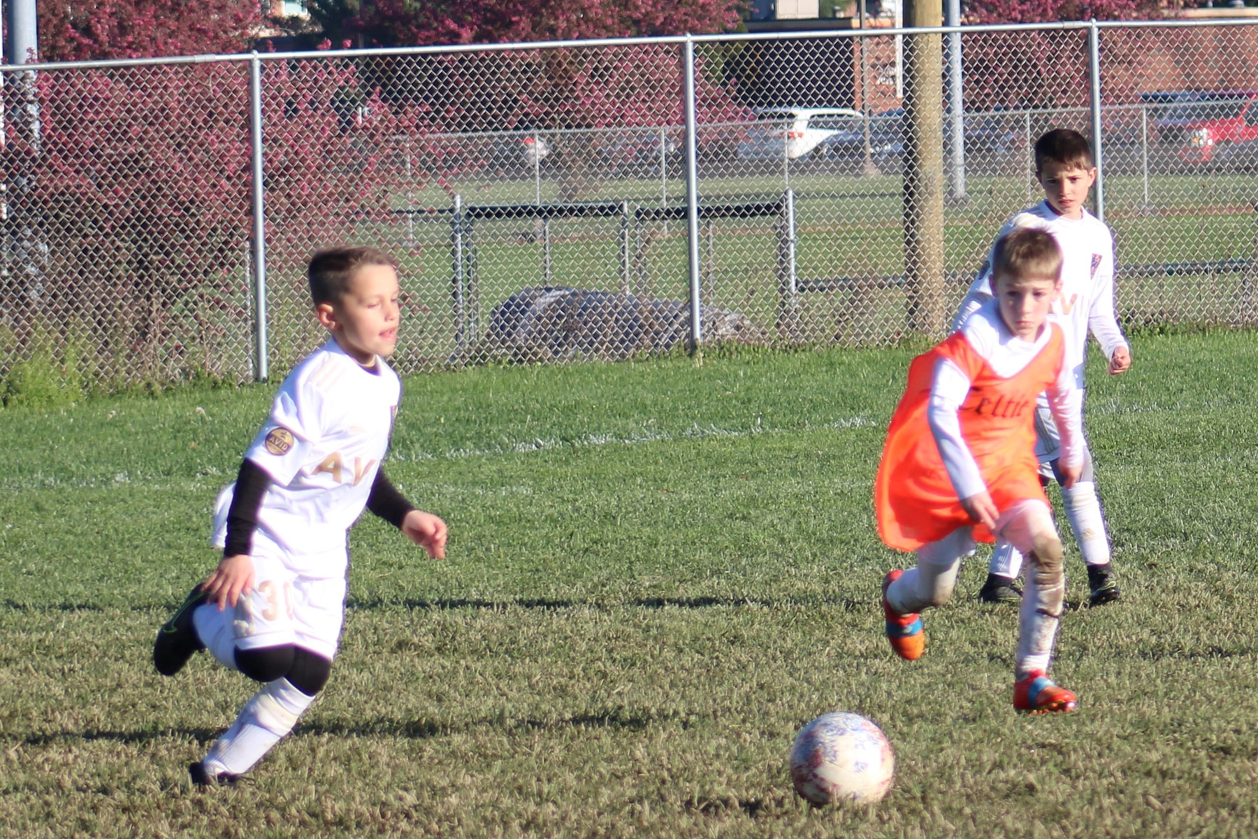 AVID Rampage - 2024 WVFC Capital Cup action photo