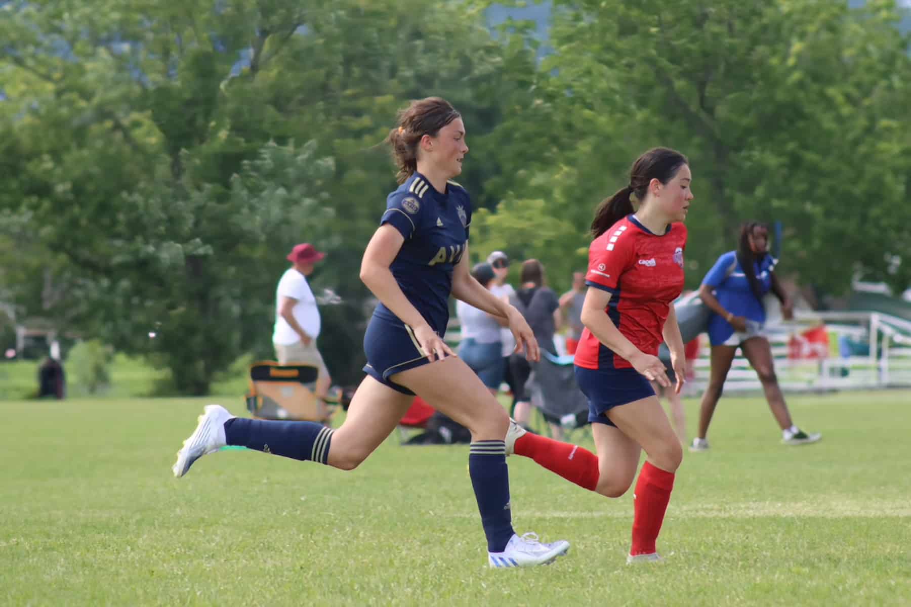 AVID Reign – 2024 Gettysburg Blue Gray Cup action photo