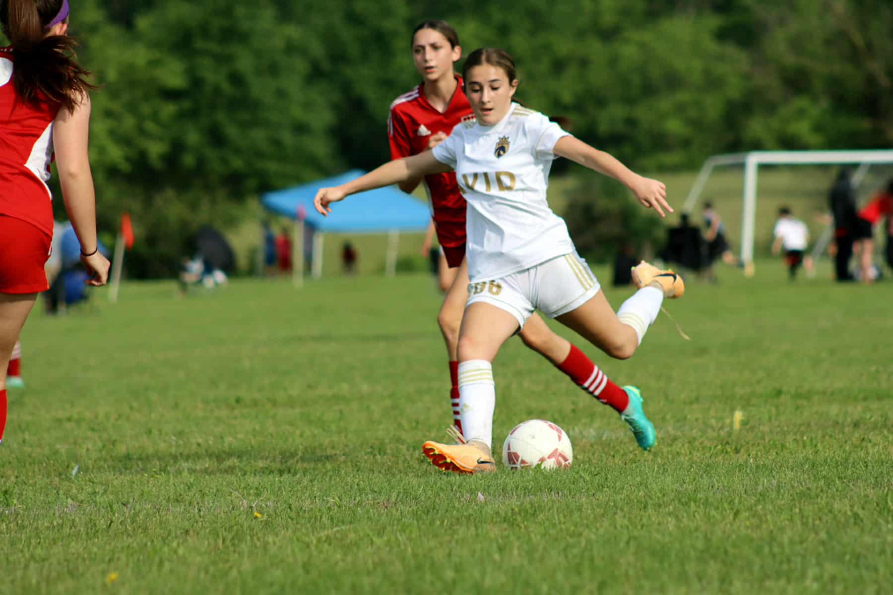 AVID Reign – 2024 Gettysburg Blue Gray Cup action photo