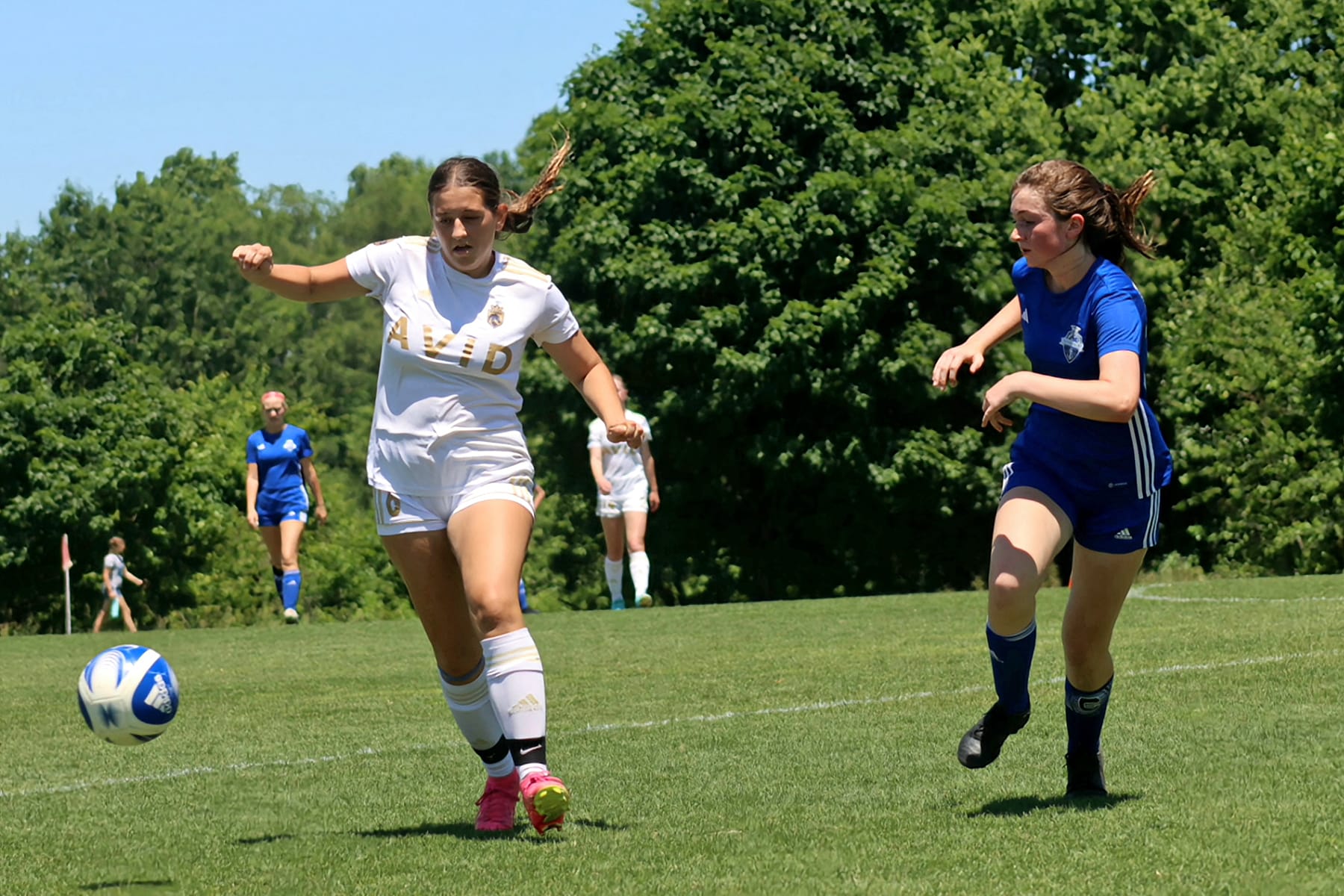 AVID Reign – 2024 Mid-Atlantic Cup action photo