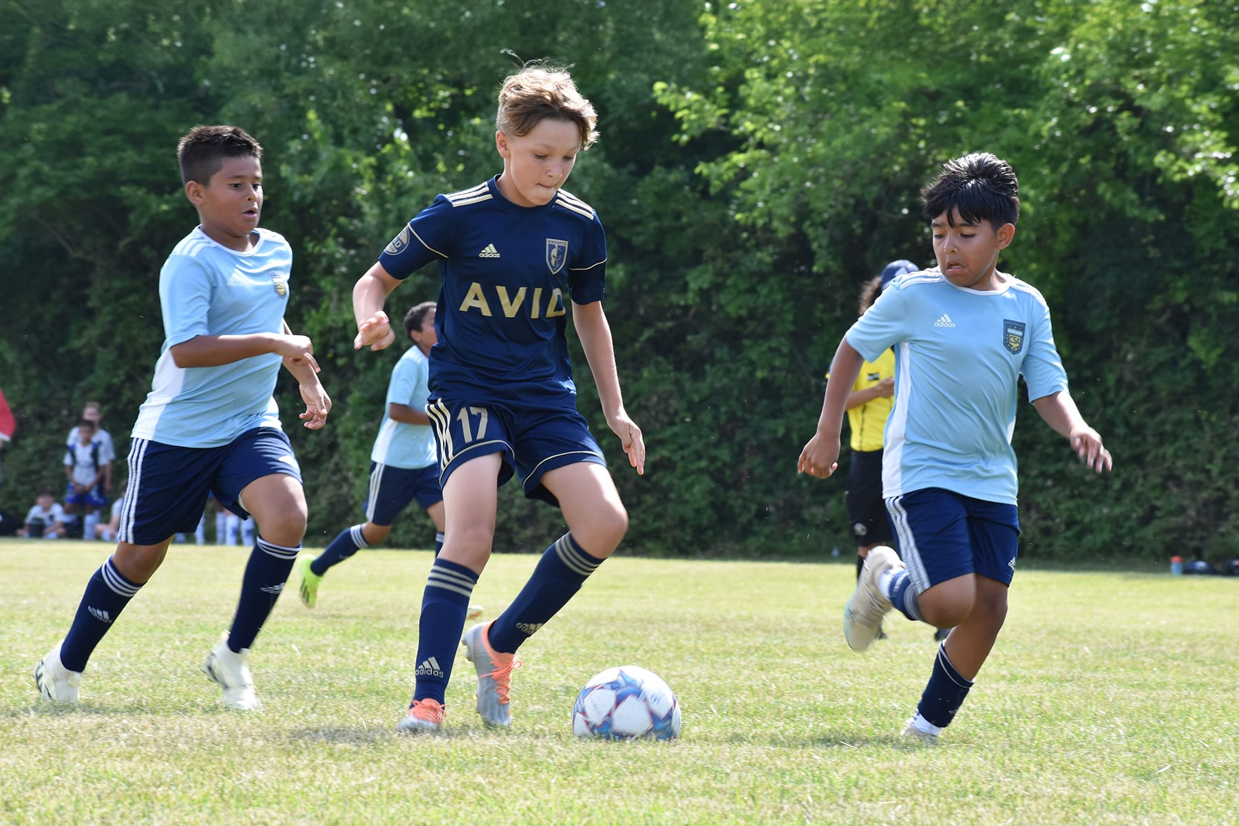 AVID Knights – 2024 Mason-Dixon Cup action photo