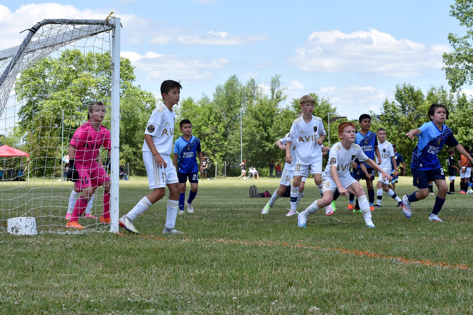 AVID Knights – 2024 Mason-Dixon Cup action photo