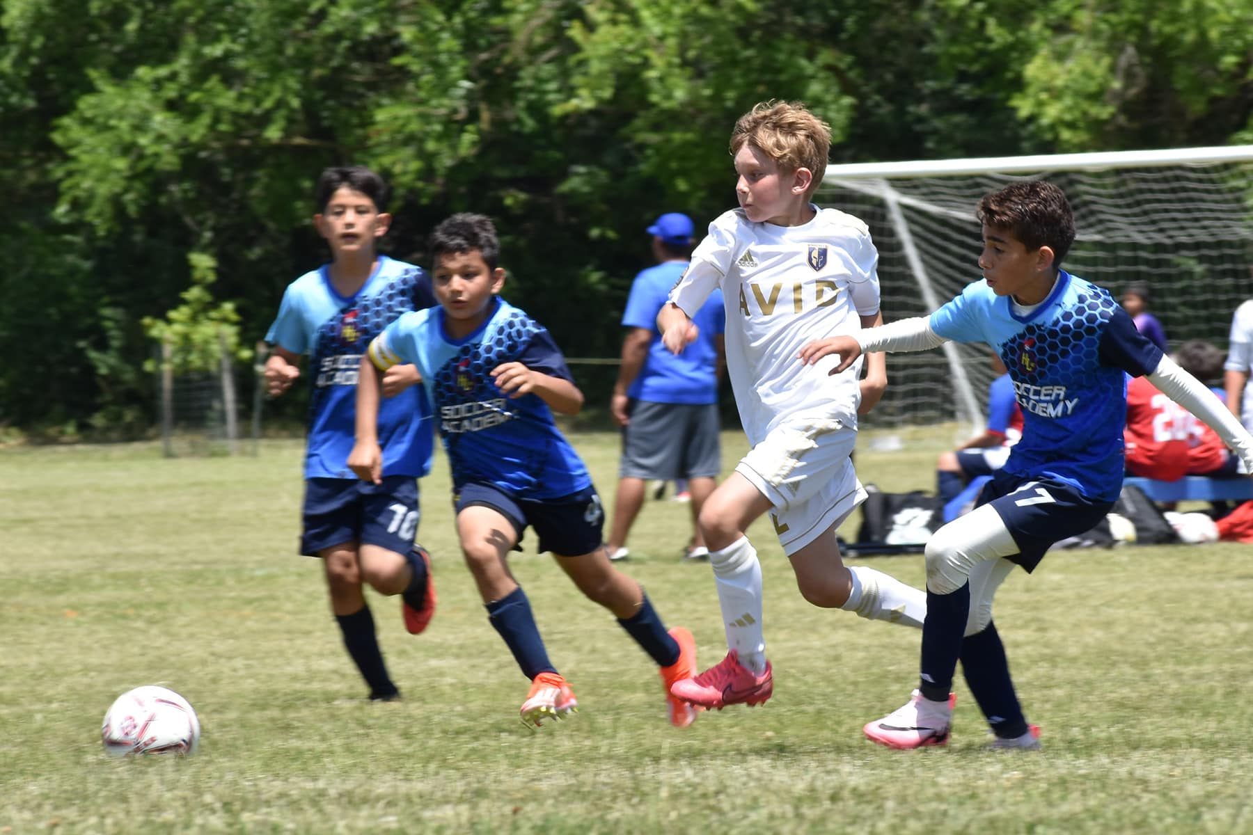 AVID Knights – 2024 Mason-Dixon Cup action photo