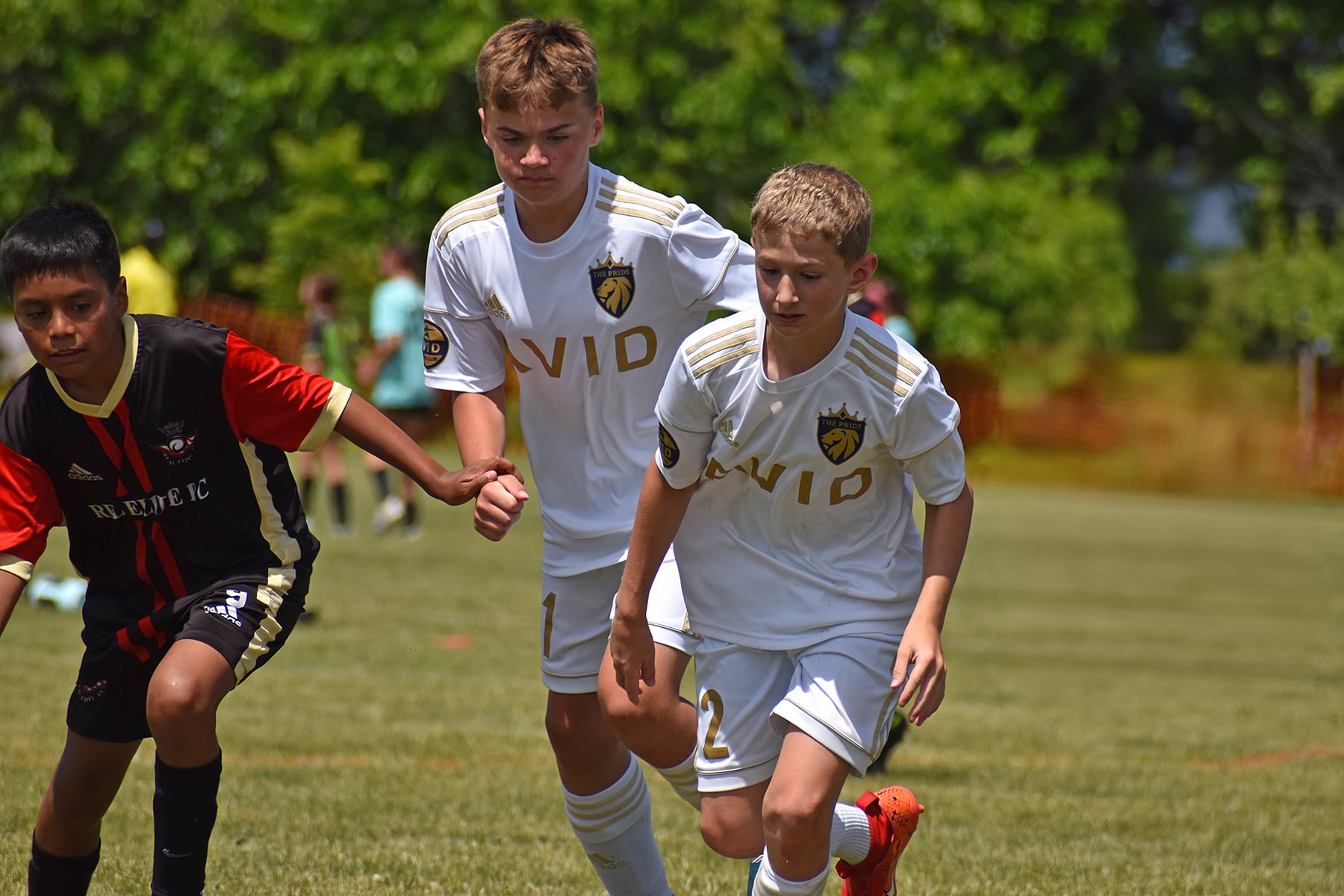 AVID Pride – 2024 Mason-Dixon Cup action photo