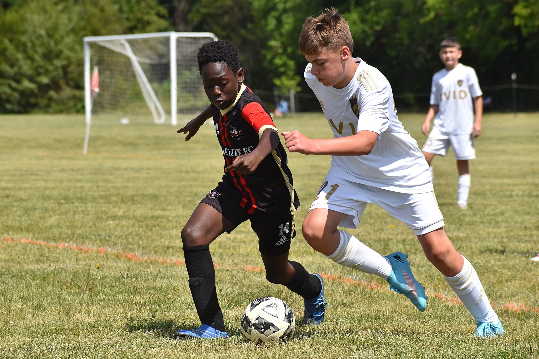 AVID Pride – 2024 Mason-Dixon Cup action photo