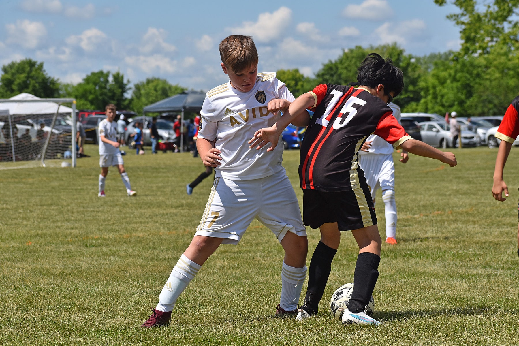 AVID Pride – 2024 Mason-Dixon Cup action photo