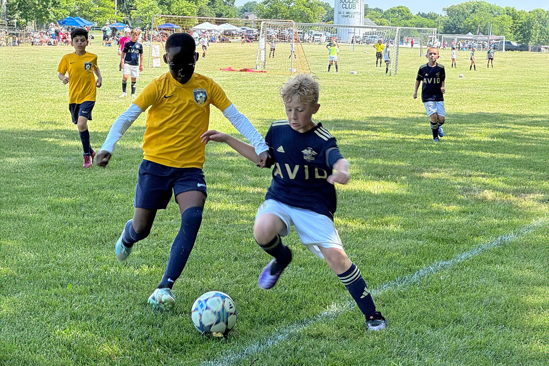 AVID Talons – 2024 Mason-Dixon Cup action photo