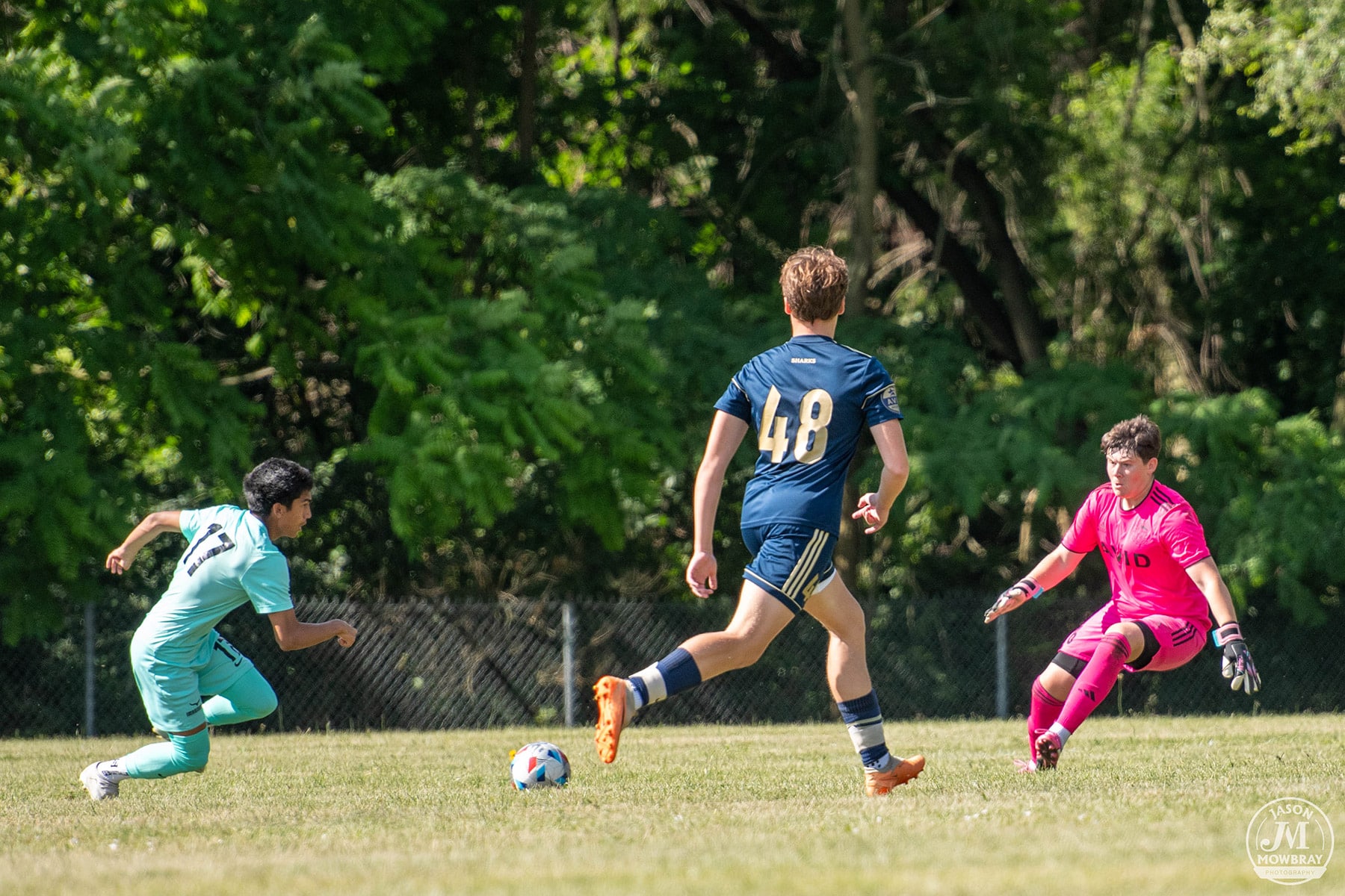 AVID Sharks – 2024 Mason-Dixon Cup action photo