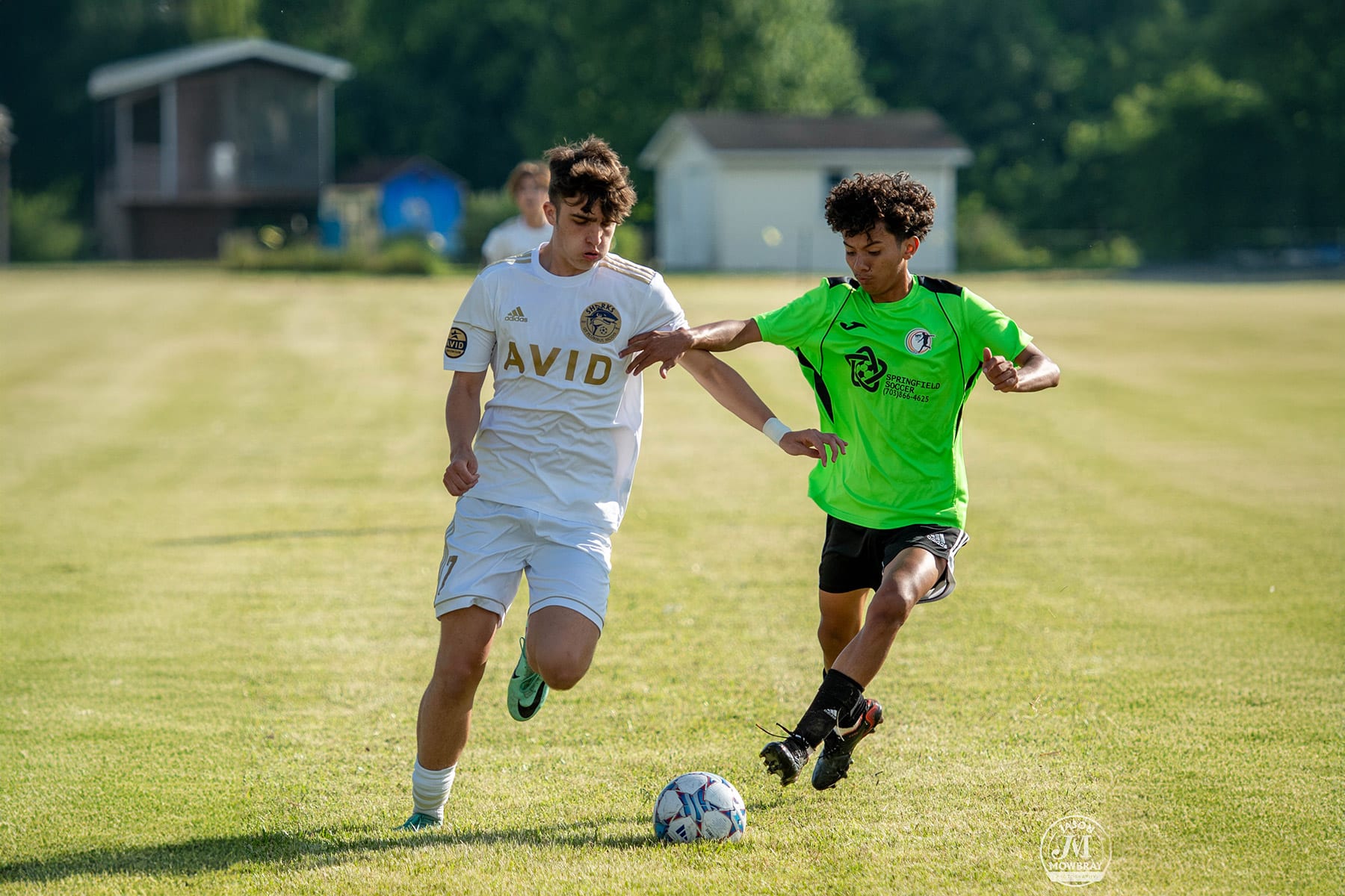 AVID Sharks – 2024 Mason-Dixon Cup action photo