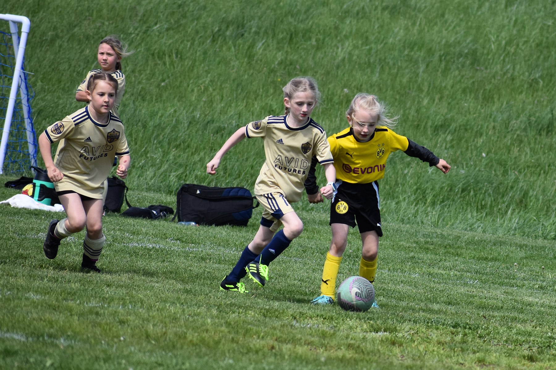 AVID Academy – 2024 WV Development Friendlies action photo