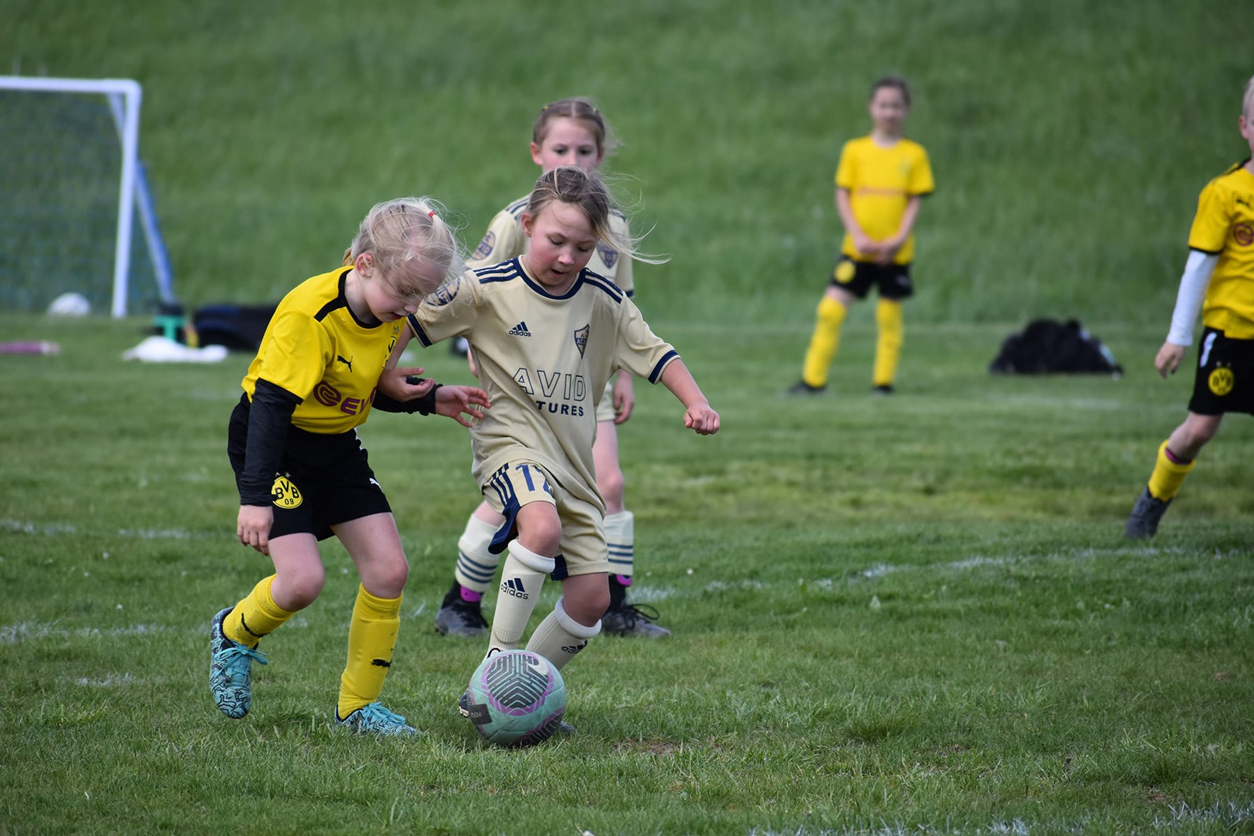 AVID Academy – 2024 WV Development Friendlies action photo