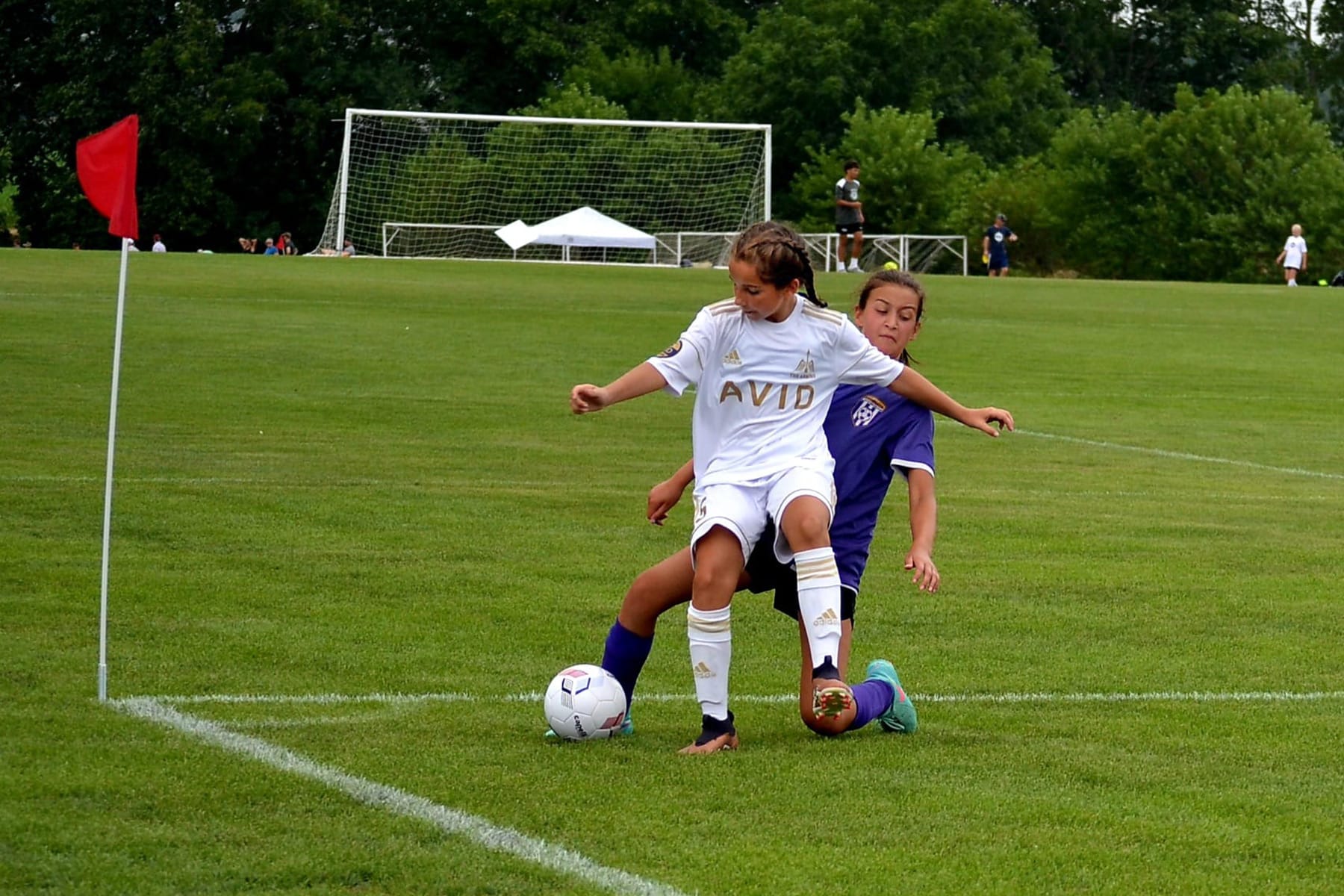 AVID Arrows – 2024 Lititz Summer Showcase action photo