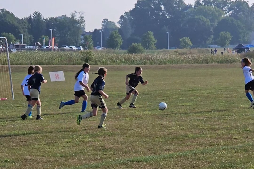 AVID Arrows – 2024 Lititz Summer Showcase action photo