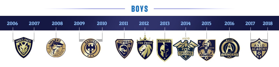 AVID Boys birth year matrix