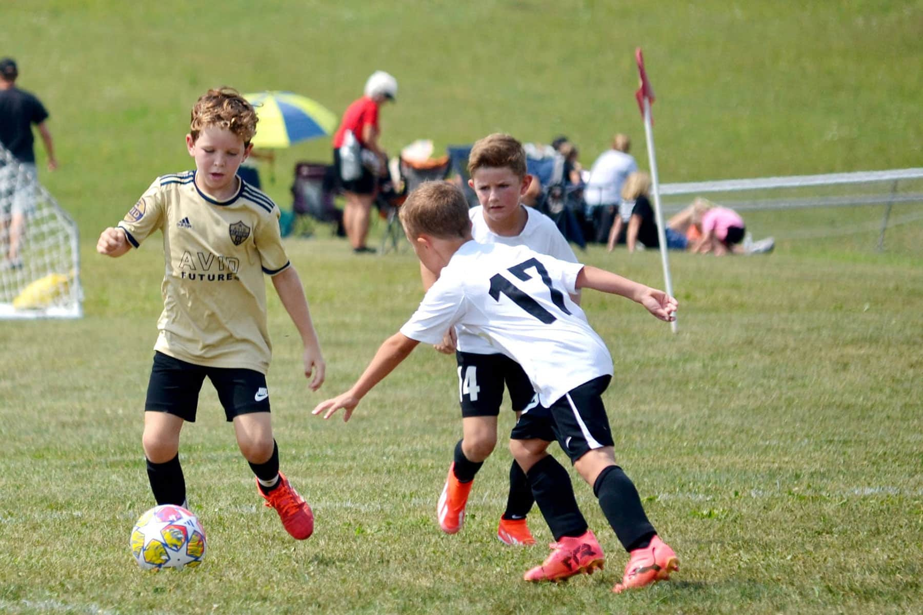 AVID Avengers – 2024 WV Development Friendlies action photo