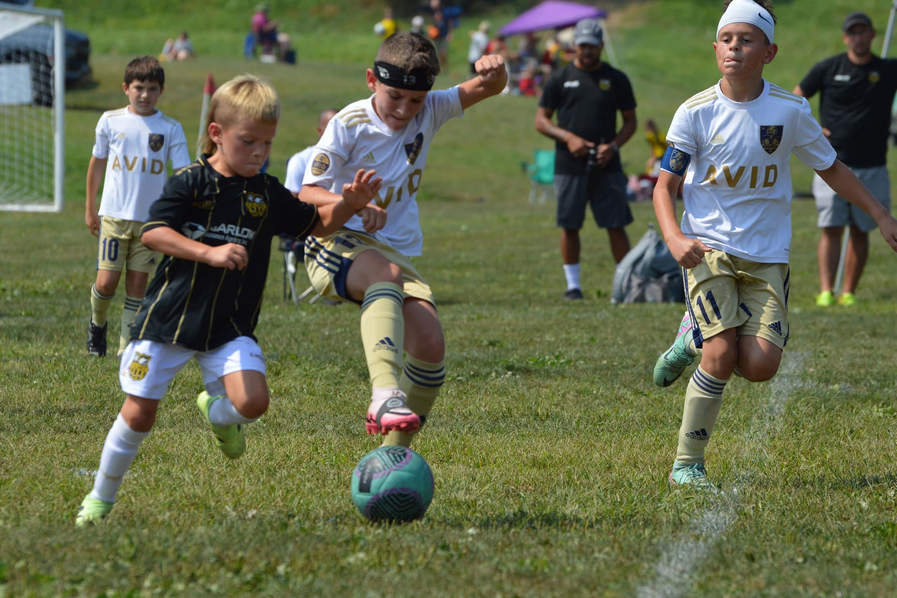 AVID Rampage – 2024 WV Development Friendlies action photo