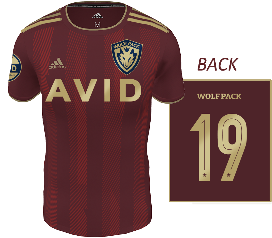 AVID Burgundy Jersey