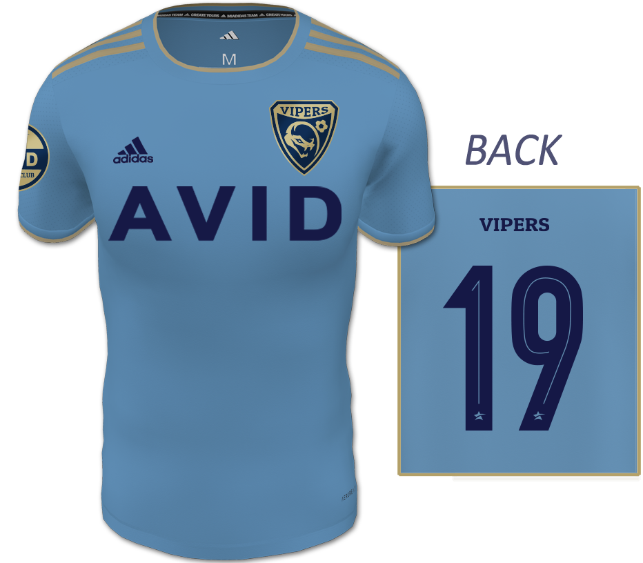 AVID Light Blue Jersey