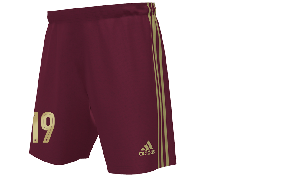 AVID Burgundy Shorts