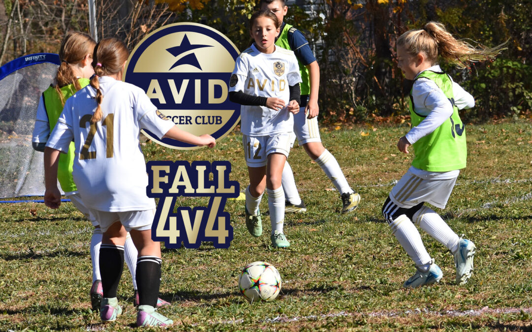 AVID 4v4 - Fall 2024