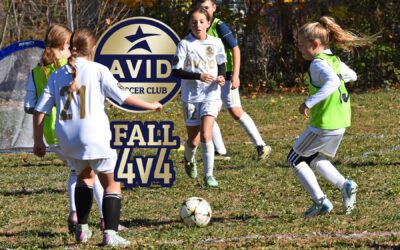 AVID Fall 4v4 Recap